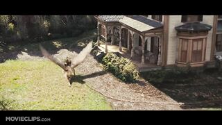 The Spiderwick Chronicles (4_9) Movie CLIP - The Griffin's Flight (2008) HD.