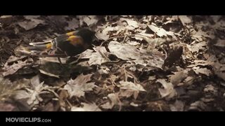 The Spiderwick Chronicles (2_9) Movie CLIP - Hogsqueal (2008) HD.