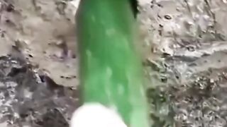 Best funny video