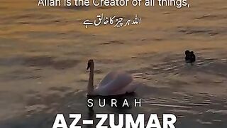 Talvet Quran pak butifull video and vice