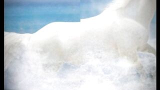 White horse viral video live 2024