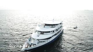 Best of Maldives on Soleil-2 - Day 4 - Snappers, jack, and dolphin