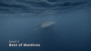 Best of Maldives on Soleil-2 - Highlights
