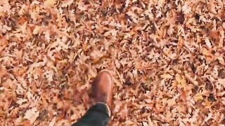 Shot video songs