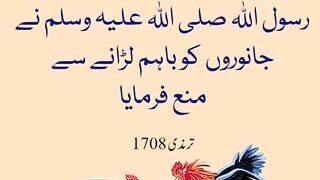 شرعی مسائل اور ان کا حل