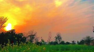 Beautiful  nature views in village