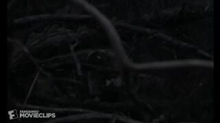 The Witch (2015) - Witch's Lair Scene (4_10) _ Movieclips.