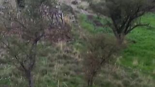 My village view velog