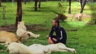 100 Hero Animals That Saved Human Lives !.