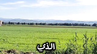 دعاء يريح القلب