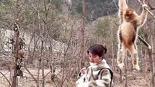 Monkeys are very valuable