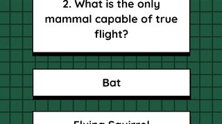 Quiz 1