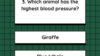 Quiz 2