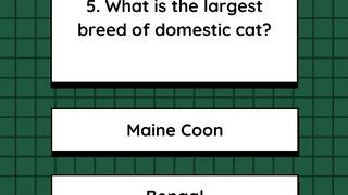 Quiz 4
