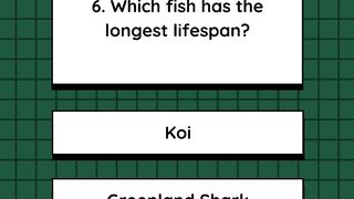 Quiz 5