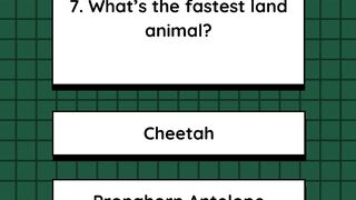 Quiz 6