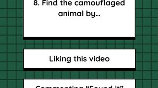 Quiz 7