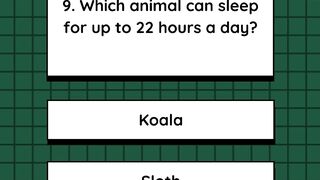 Quiz 8