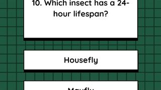Quiz 9