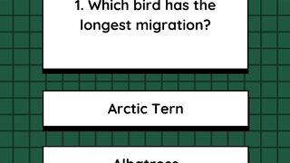 Quiz 10