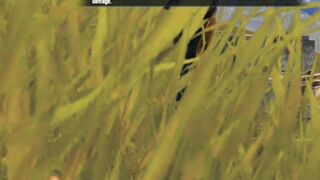 Pubg game. Pubg winner chicken dinner