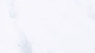 Snowfall