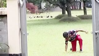 হাসির নাটক