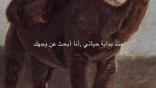 From the beginning of my life I have been looking for your face.