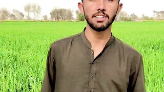 Is video Panjabi pottery