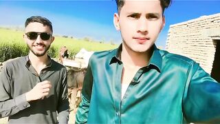 Panjabi video