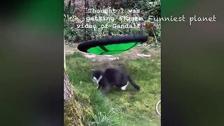 It's just so fun watching this animals ????