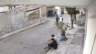 Funny dog attack ????????????????