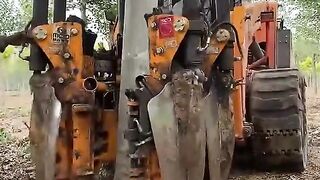 Amazing Video
