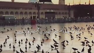 Madina