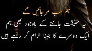 Urdu shayri