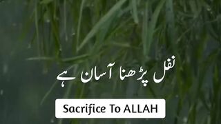 nafal nmaz