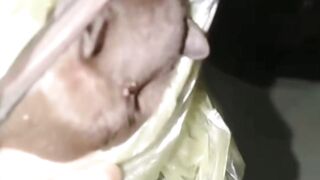 Apakah KELELAWAR makan ikan lele❓