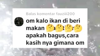 Masih ada saja yang bertanya seperti ini, padahal sering saya bahas, semoga kalian gak bosan
