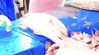Fish cutting ???? hunting