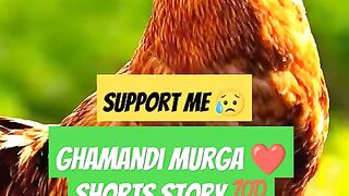 Ghamandi Murga ❤️