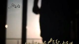 Urdu Viral poetry Line's