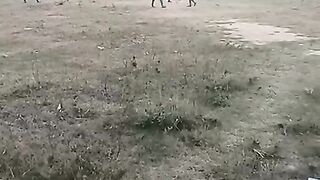 What game is this ?