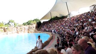 Les Dauphins - Loro Parque 2024