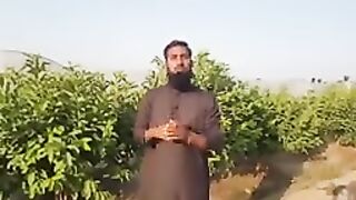 FRUITS GROW IN PAKISTAN
