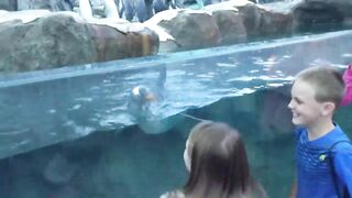 Beluga Whale is AMAZED by Tricks! | Funny Aquarium Videos