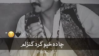 Interesting Poetry | Interesting Video | Funny Video