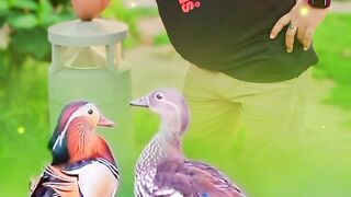 Best status viral video on 2024