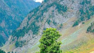 Kashmir