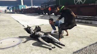 Amazing dog 3D art vedieo