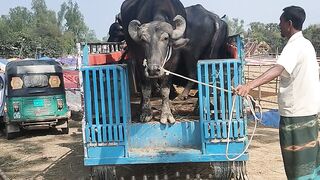 #tiktok